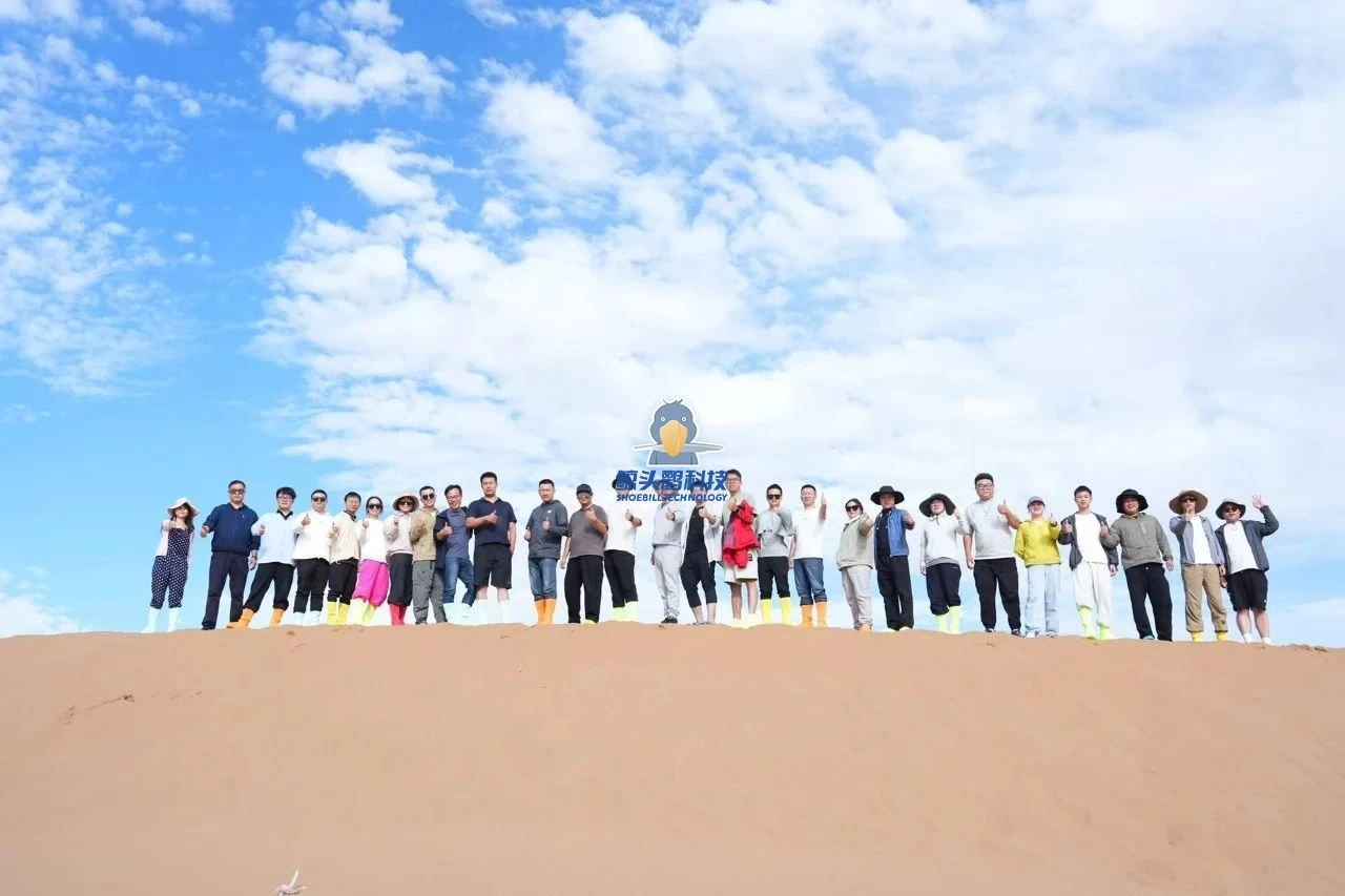 रेगिस्तान के हृदय में प्रवेश रेगिस्तान के हृदय में प्रवेश