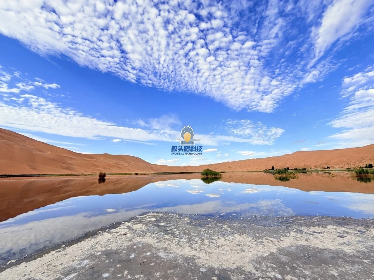 रेगिस्तान के हृदय में प्रवेश रेगिस्तान के हृदय में प्रवेश