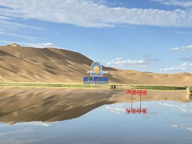 रेगिस्तान के हृदय में प्रवेश रेगिस्तान के हृदय में प्रवेश