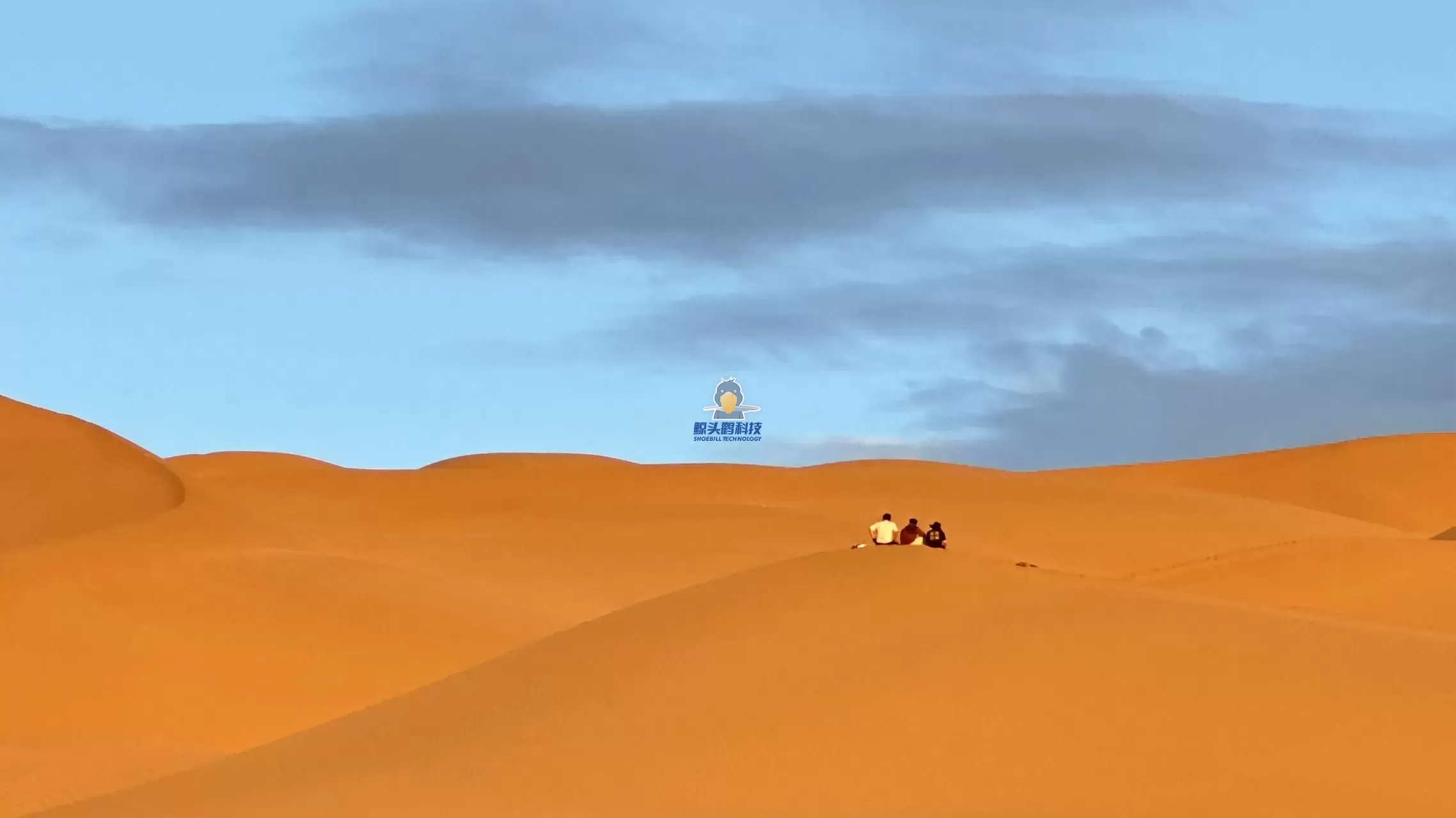 रेगिस्तान के हृदय में प्रवेश रेगिस्तान के हृदय में प्रवेश